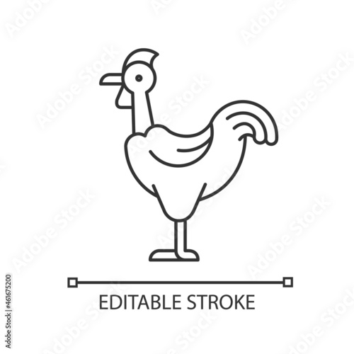 Transylvanian chicken linear icon. Naked neck chicken. Featherless neck bird. Poultry farming. Thin line customizable illustration. Contour symbol. Vector isolated outline drawing. Editable stroke
