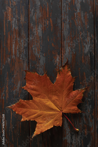 Autumn leaves on rustic wooden table banner. Maple leaf. Flat lay, top view, copy space. Autumn concept.