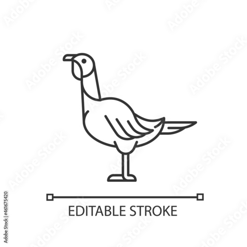 Female turkey linear icon. Poultry farming for food. Thanksgiving dinner with turkey. Landfowl. Thin line customizable illustration. Contour symbol. Vector isolated outline drawing. Editable stroke