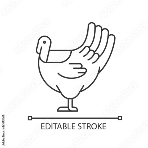 Male turkey linear icon. Commercial poultry farming for food. Domestic bird growing for meat. Thin line customizable illustration. Contour symbol. Vector isolated outline drawing. Editable stroke
