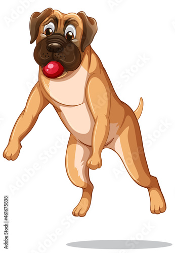 Boxer dog cartoon on white background