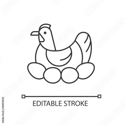 Brood hen linear icon. Bird sitting on egg clutch to incubate chicks. Nesting chicken. Thin line customizable illustration. Contour symbol. Vector isolated outline drawing. Editable stroke