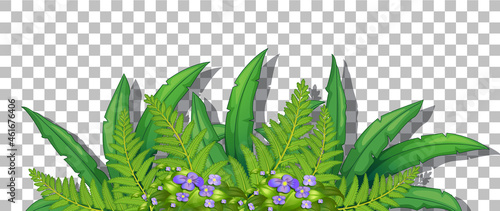 Grass and plants on transparent background for decor