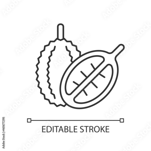 Durian linear icon. Bittersweet fruit in Singapore. Fruit with strong fragrance. Mao Shan Wang. Thin line customizable illustration. Contour symbol. Vector isolated outline drawing. Editable stroke