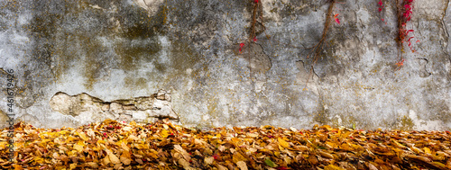  Naturalne tło opadających żółtych i pomarańczowych jesiennych liści z teksturą starej pionowej, postarzanej ulicznej ściany w jesiennym świetle października. Panorama, tapeta, obraz.