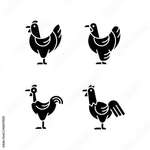 Chicken breeds black glyph icons set on white space. Brahma hen. Transylvanian chicken. Hen and rooster. Poultry farming. Livestock husbandry. Silhouette symbols. Vector isolated illustration