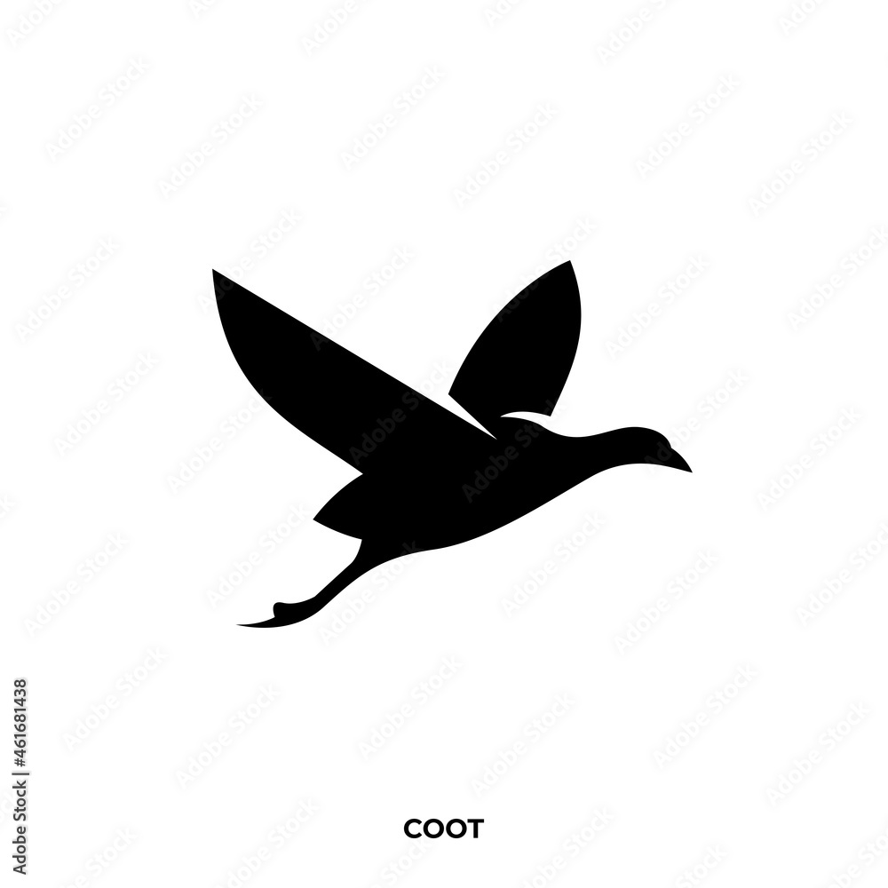 Illustration vector graphic template of coot silhouette logo Illustration vector graphic template of coot silhouette logo