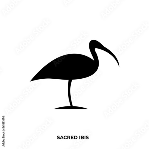 Illustration vector graphic template of sacred ibis silhouette logo