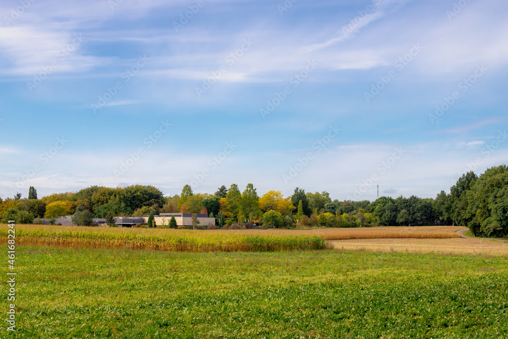 Autumn landscape, Nature path along farmland and trees, Corn or maize field along countryside road under blue sky and white could, The terrain country of the southeast Holland, Limburg, Netherlands.