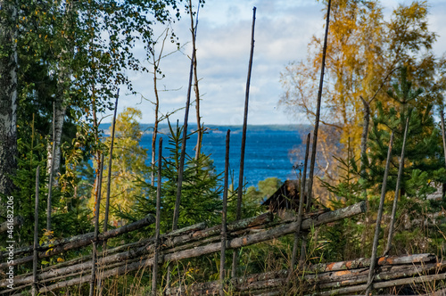 Tree fence in front of Storjön lake in Jamtland, north Sweden photo