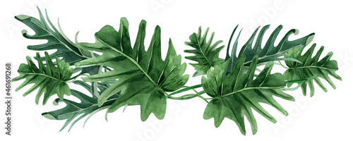 Watercolor border leaves philodendron frame template. Template for decorating designs and illustrations.
