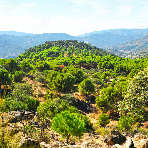Landscape of the Sierra de Andujar Natural Park, Sierra Morena in the province of Jaén, mountainous area with large pine forests in the north of Andalusia, Spain
