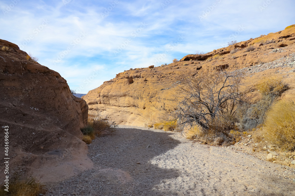 White Rock Canyon Trail, Nevada, Arizona, Lake Mead National Recreation Area