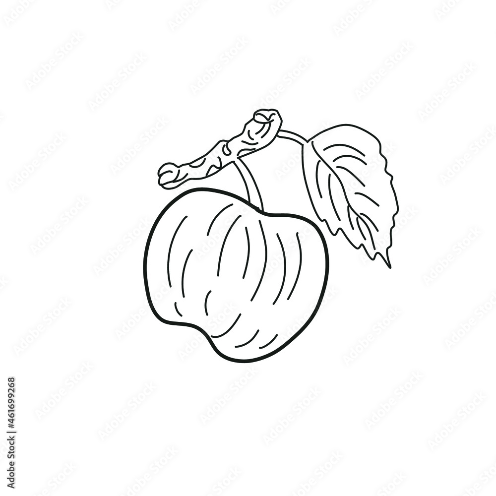 vector apple graphics in a flat illustration on a white background. graphic fruit apple design