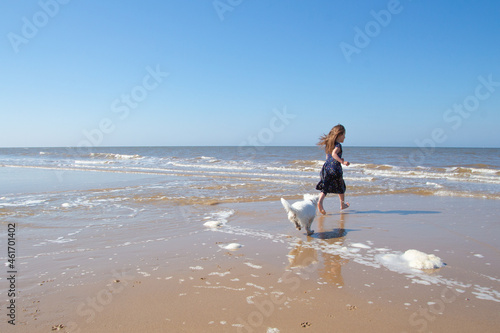 Young girl playing with a white dog on. Cromer beach in a sunny day of summer, joy, happiness, holiday, vacation in England, United Kingdom, Norfolk coast, North sea
