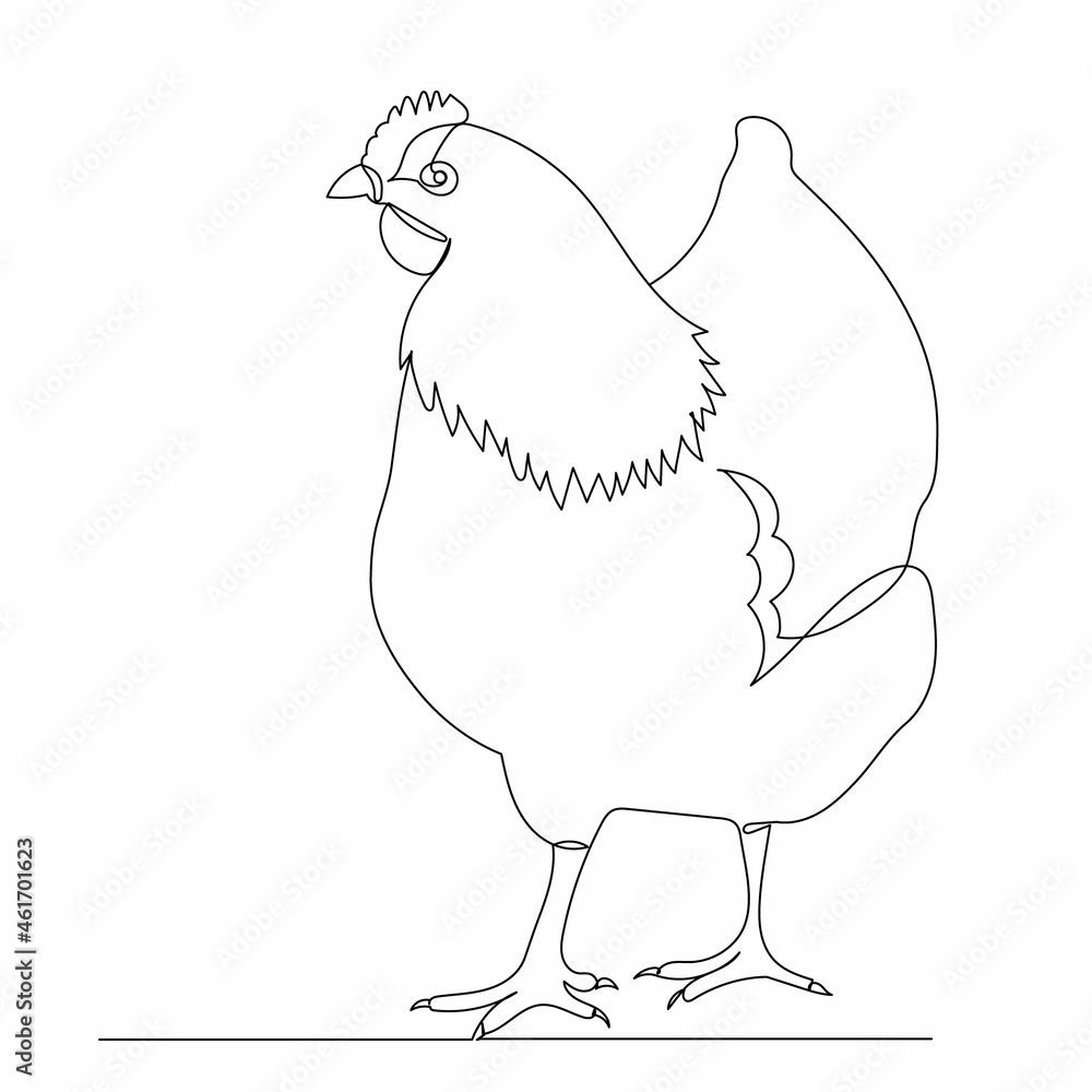 chicken one line drawing, on white background, vector chicken one line drawing, on white background, vector