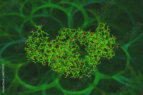Molecular model of interleukin-16 (IL-16) bound to the 14.1 antibody. IL-16 is a chemoattractant cytokine produced by peripheral mononuclear cells. Scientific background. 3d illustration photo