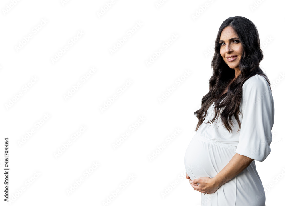 Beautiful pregnant woman isolated on the white background Beautiful pregnant woman isolated on the white background
