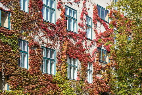 Autumn in Berlin-Prenzlauer Berg