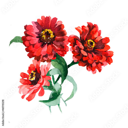 3 red flowers watercolor isolated on white background illustration for all prints.