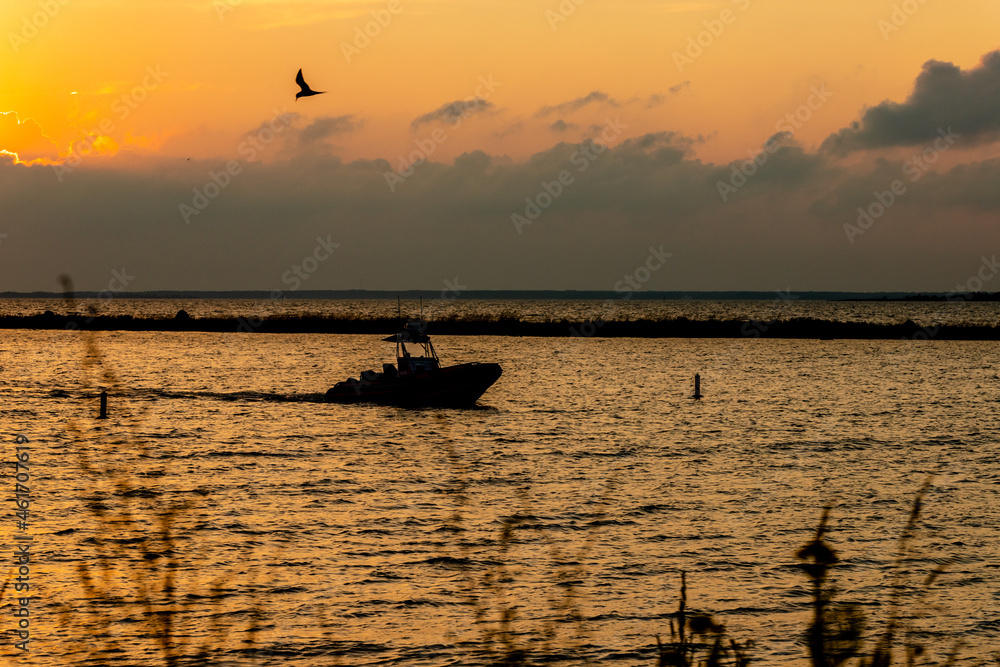 Fototapeta premium Sunset over the sea with motor boat and seagull silhouettes. Motor boat and a flying bird are arriving to port during sunset in summer in the coast. Golden hour at the beach.