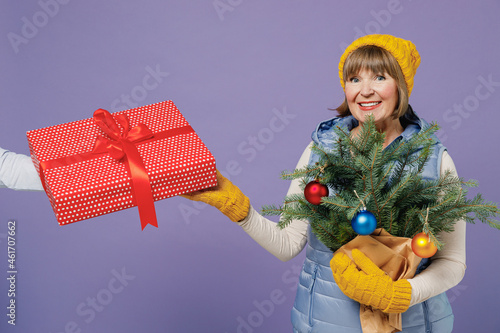 Smiling mature elderly senior lady woman 55 years old wear blue waistcoat yellow hat mittens holds spruce branches get red present box isolated on plain pastel light violet background studio portrait photo
