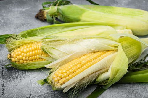 Fresh ripe corn cobs, on gray stone table background