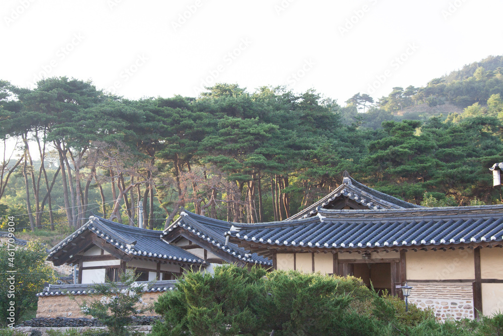 장독대,기와,한국