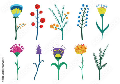 a set of vector fantasy, fairy-tale flowers and twigs for the design of a postcard, poster