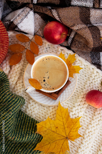 cup of tea with autumn leaves