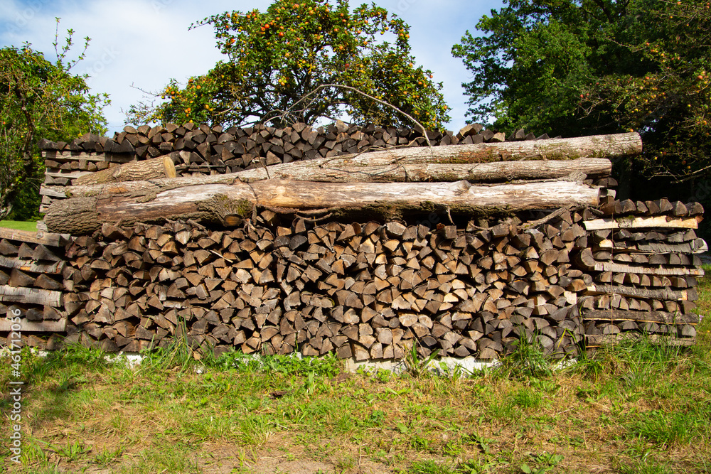 Tree logs lie on a stack of firewood ready to be chopped