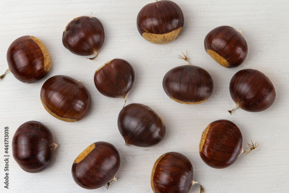Ripe chestnuts, freshly picked and removed from the hedgehog, arranged on a white wooden surface. Ripe chestnuts, freshly picked and removed from the hedgehog, arranged on a white wooden surface.