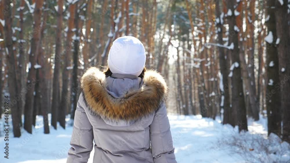 Back view of woman walking in sunny snowy forest. Unrecognizable girl enjoying stroll outdoor admiring beautiful winter landscapes. Carefree lady having relax at wintertime. Slow motion Close up Back view of woman walking in sunny snowy forest. Unrecognizable girl enjoying stroll outdoor admiring beautiful winter landscapes. Carefree lady having relax at wintertime. Slow motion Close up