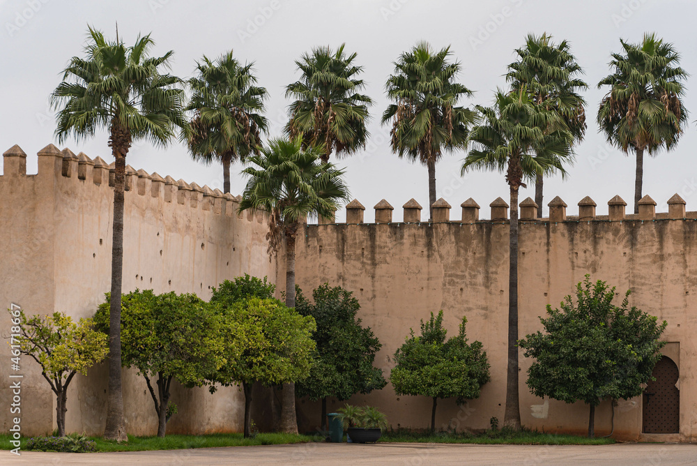 Stadtmauer von Meknes mit Palmen in Marokko