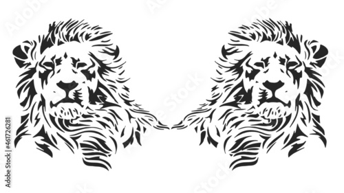 lion