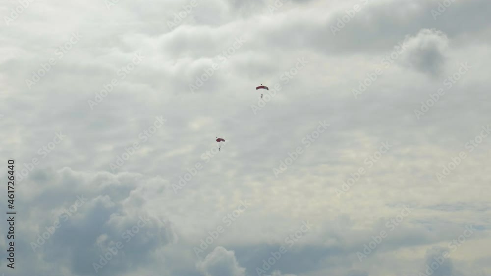 two single Skydivers with open Parachutes slowely glide down to earth. The scene is in the Netherlands on the Island of Texel during the summer.