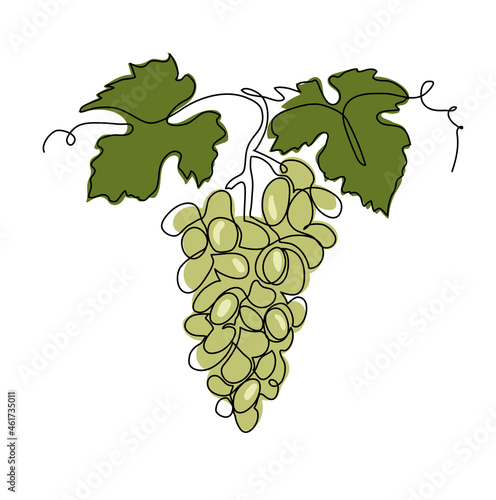 Green grape bunch one single line art drawing. Continuous vector illustration of vine. Grape bunch for label design of juice or wine