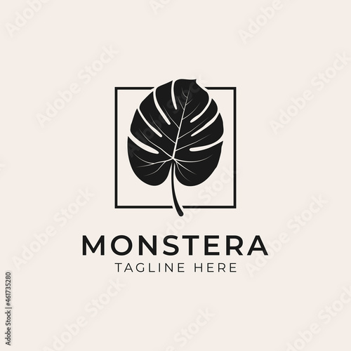 Tropical plant leaves logo. Monstera leaves logo design. Vector illustrations.