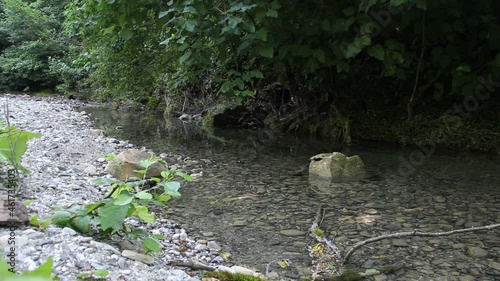 A deep gorge of a small mountain river in the mountains of the North Caucasus.