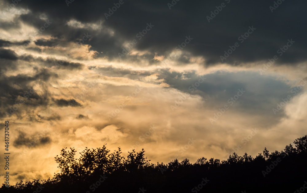A lovely sunset in Jena at summer with a tree line in front, copy space
