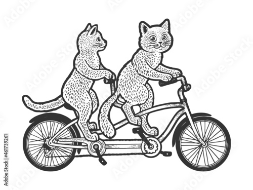 cats on tandem twin bicycle sketch engraving vector illustration. T-shirt apparel print design. Scratch board imitation. Black and white hand drawn image.
