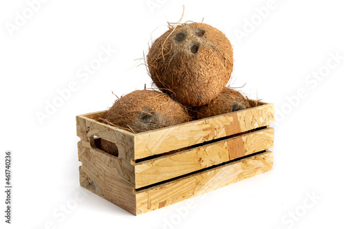 three ripe coconuts rin a small wooden crate isolated on white photo