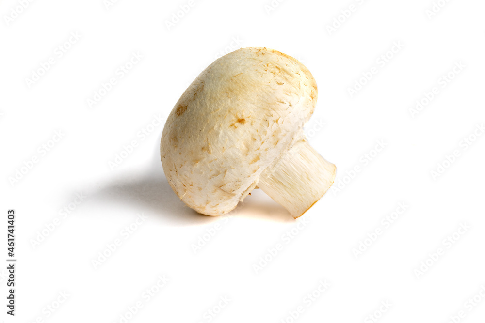 close up macro view of a white cultivated mushroom isolated on white
close up macro view of a white cultivated mushroom isolated on white