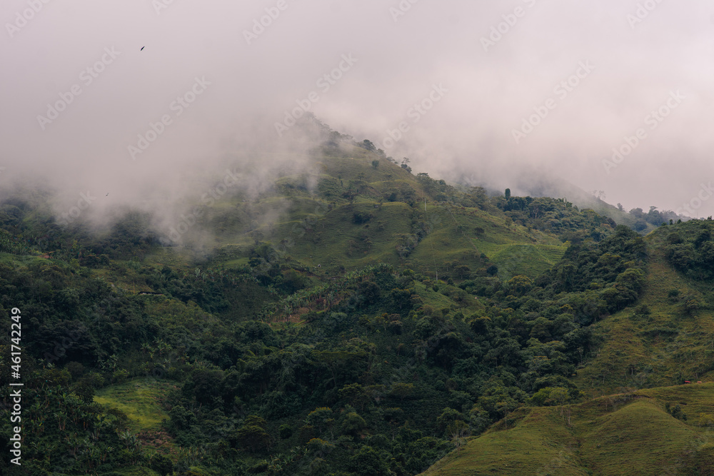 Montañas con neblina paisaje típico de Colombia