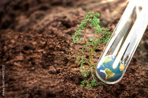 Save Planet - Erde im Reagenzglas mit Baum auf Waldboden