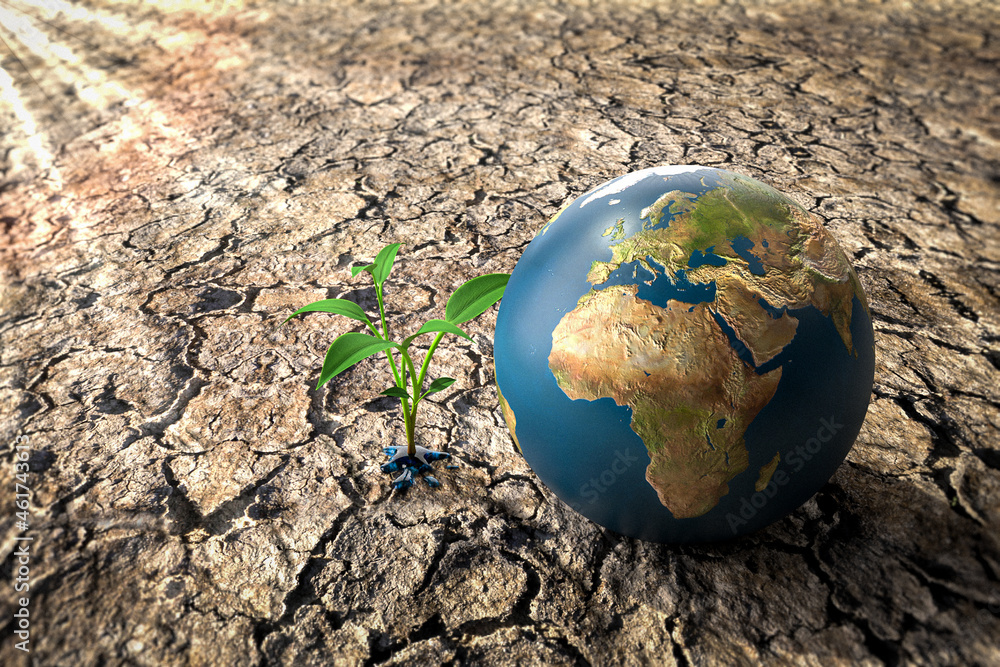 Save Planet - Erde auf trockenem Boden mit sprießendem Pflänzchen in Pfütze