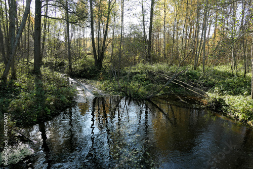 Forest river