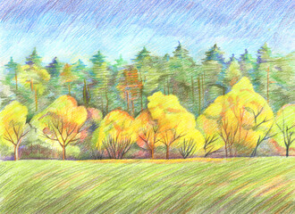 Foto auf Acrylglas Gelb Beautiful autumn landscape with yellow trees. Hand drawn with colored pencils. Natural background.  © yulanaom