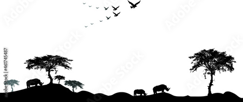 Safari.Flock of birds flying in the sky ,on a beautiful sunset background.amazing scenery.Sunset and sunrise.