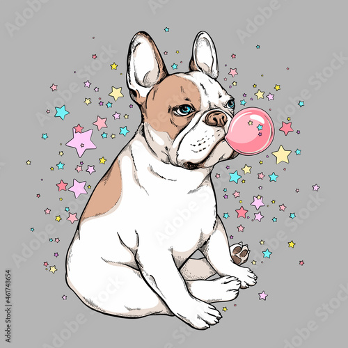 Cute french bulldog on a background of stars. Image for printing on any surface